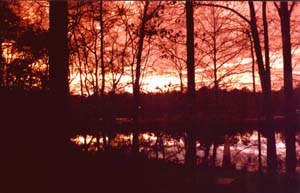 Statham Lake Sunset
