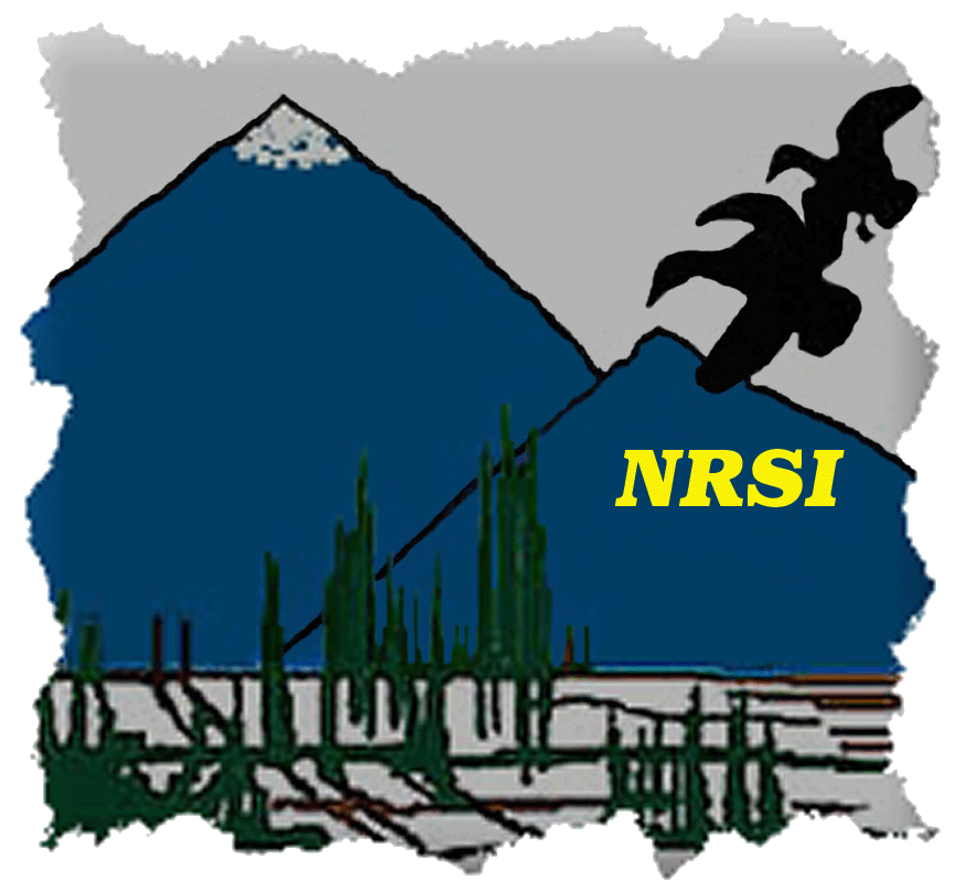NRSI logo
